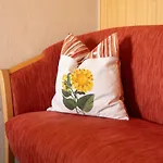 بيت ضيافة Trillerhof رامساو أم داتشستين