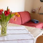 بيت ضيافة Trillerhof *