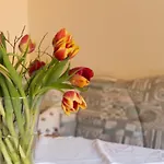 Trillerhof بيت ضيافة رامساو أم داتشستين