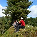بيت ضيافة Trillerhof رامساو أم داتشستين