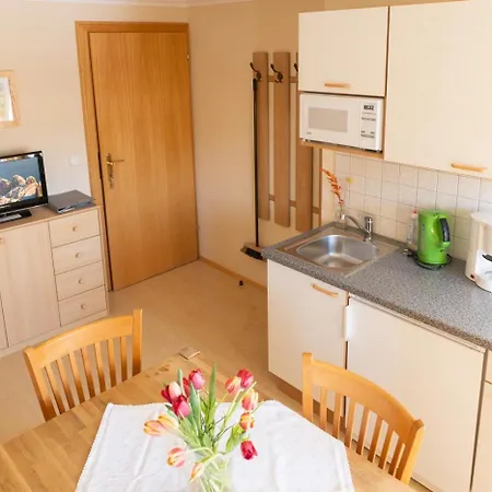 Guest house Trillerhof Ramsau am Dachstein