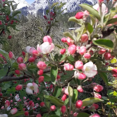 Maison d'hôtes Trillerhof Ramsau am Dachstein