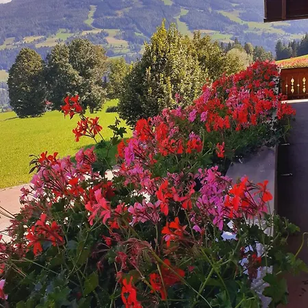 Maison d'hôtes Trillerhof Ramsau am Dachstein