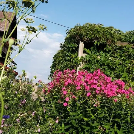 Trillerhof *