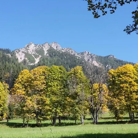 Trillerhof Konukevi Ramsau am Dachstein