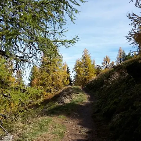 Trillerhof Pensionat Ramsau am Dachstein