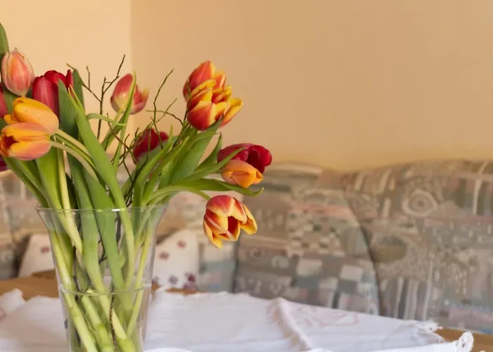 Trillerhof Affittacamere Ramsau am Dachstein