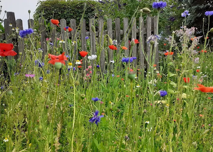 Affittacamere Trillerhof