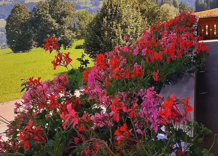Affittacamere Trillerhof Ramsau am Dachstein