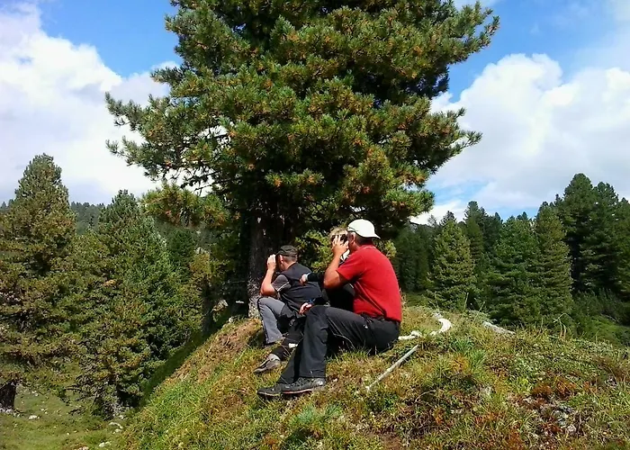 Affittacamere Trillerhof Ramsau am Dachstein